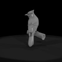 sculpted_blue_jay_3d_bird_model_pmqmecmc — thumbnail 3