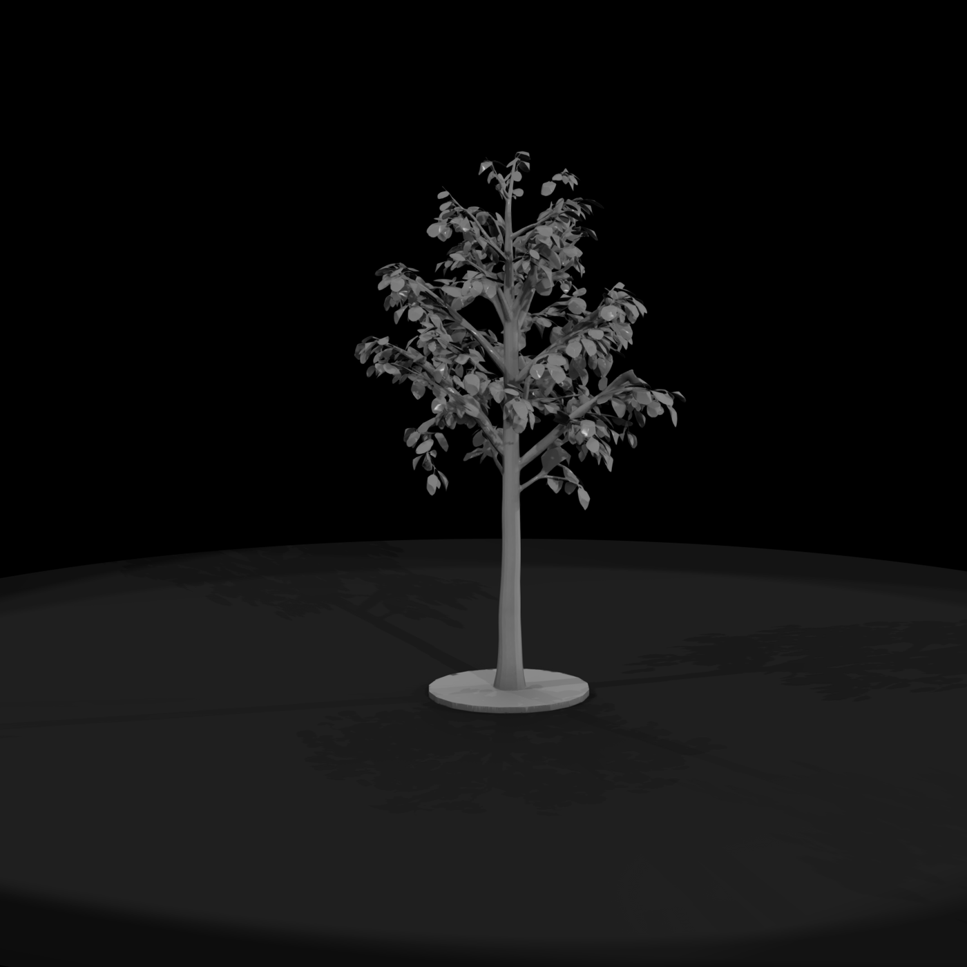 Stylized Birch Tree & Railway Layouts