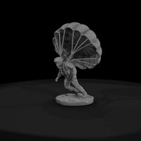 para-vietnam-air-038-rough-landing-18e5c3 — thumbnail 3