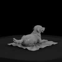 family-dog — thumbnail 4