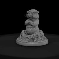 holfun-12-groundhog-shades-1ab1a9 — thumbnail 3