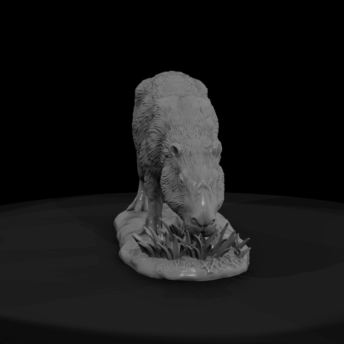 ant-257-capybara-female