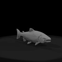 chinook-salmon-miniature-for-dioramas-display-016104 — thumbnail 3