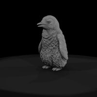 ant-126-emperor-penguin-adolescent-005fe0 — thumbnail 3