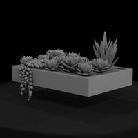 stylized-monochrome-succulent-garden-planter-phnxh — thumbnail 2