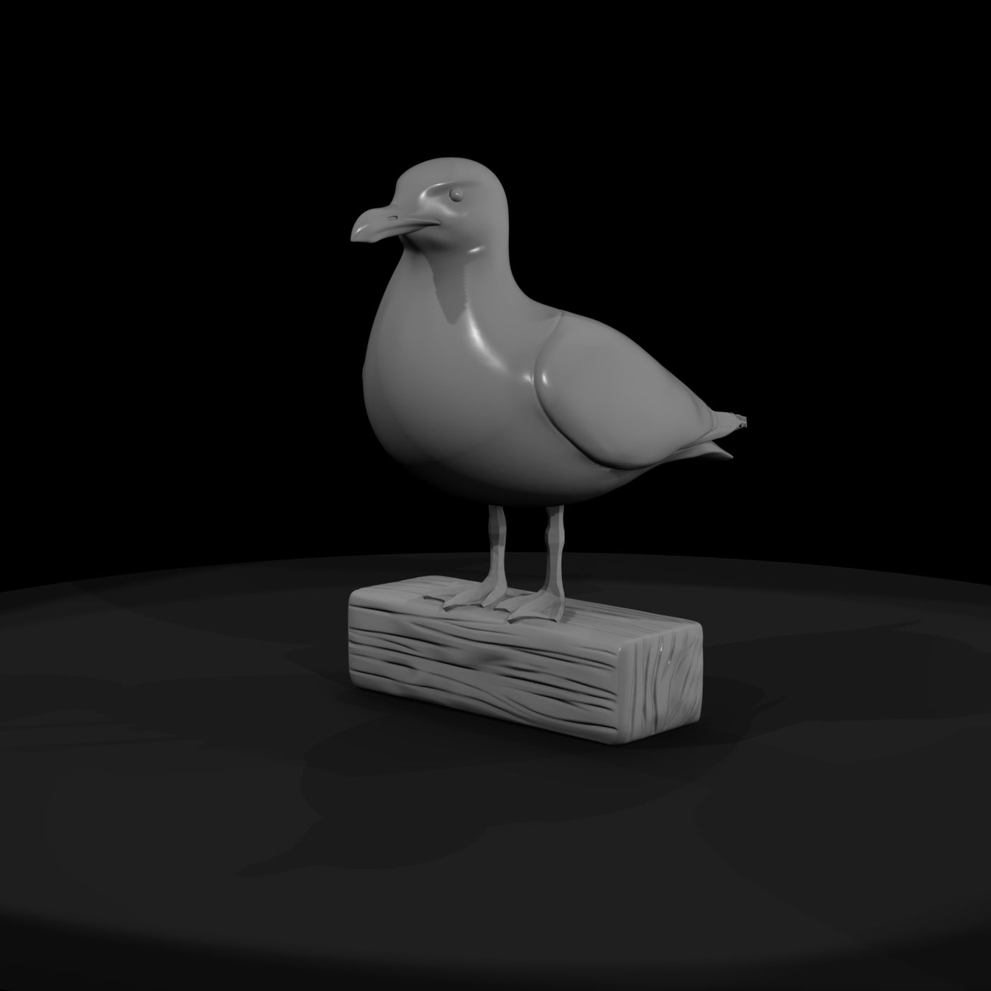seagull
