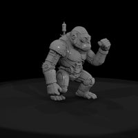 ob-ach-62188 — thumbnail 4
