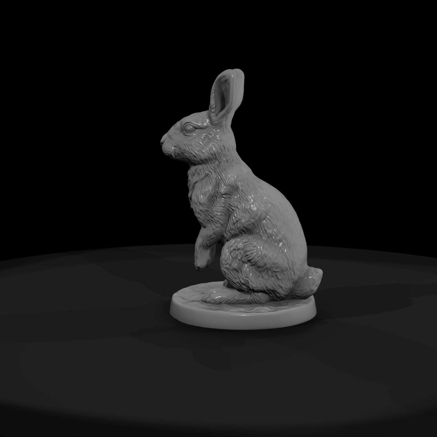 anim-24-rabbit-2f9bef