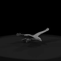ant-115-golden-eagle-male — thumbnail 2