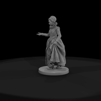 Elizabethan Courtier Lady in a Ruff — thumbnail 3