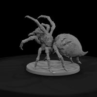 fmon-11-giant-spider-6ea05b — thumbnail 2