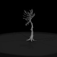 20260612-bare-tree-drawing-ab7bf01d44 — thumbnail 2