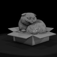 scottish-fold-cat-in-cardboard-box-diorama-miniature-256616 — thumbnail 3