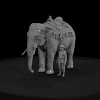 elephant — thumbnail 3