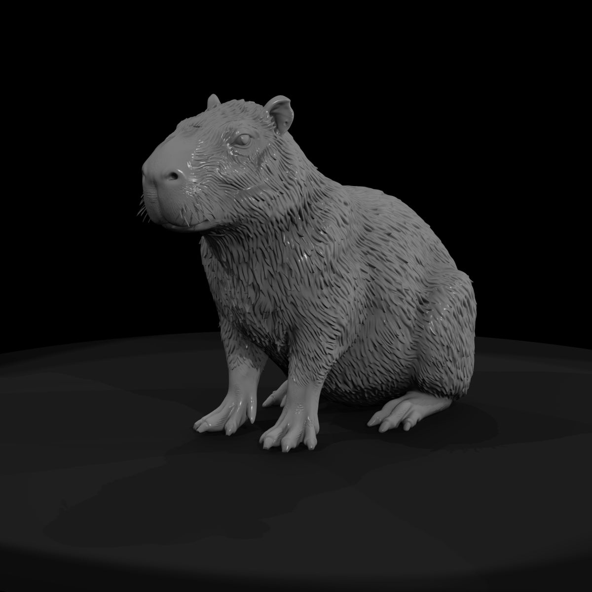 ant-256-capybara-male