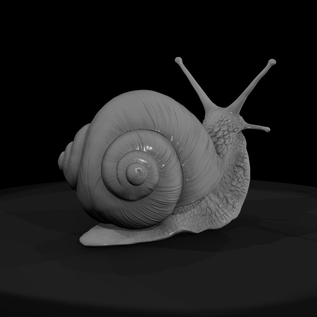 20260612-snail-on-green-leaf-a437ee3019