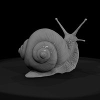 20260612-snail-on-green-leaf-a437ee3019 — thumbnail 2