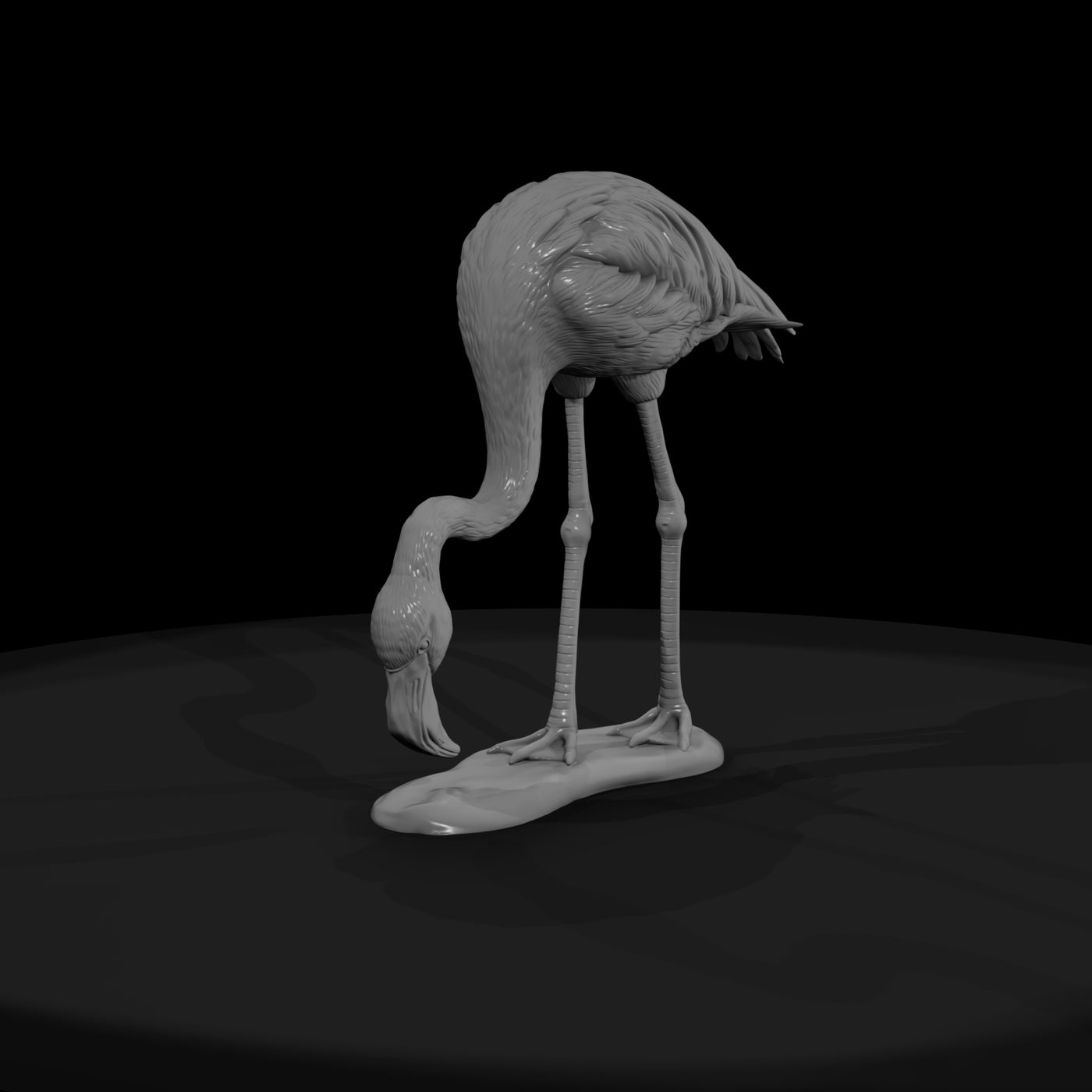 ant-128-greater-flamingo-female