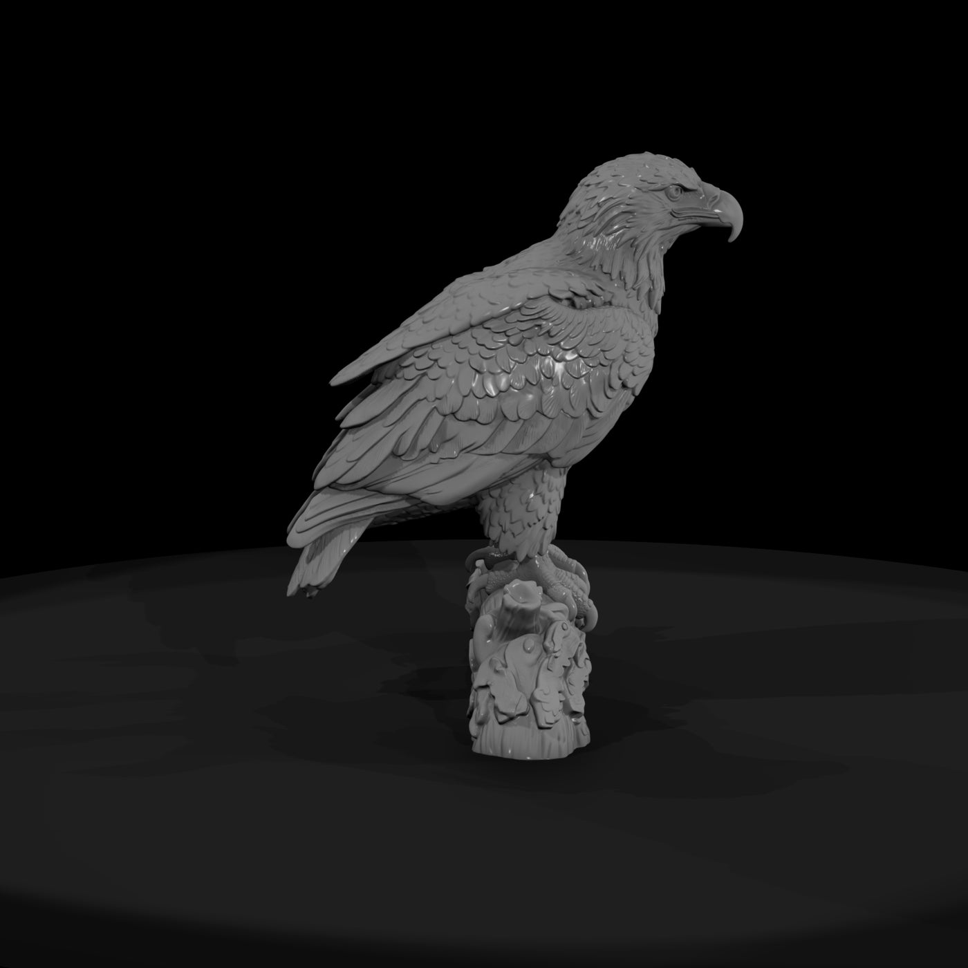 ant-114-bald-eagle-adolescent