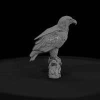 ant-114-bald-eagle-adolescent — thumbnail 2