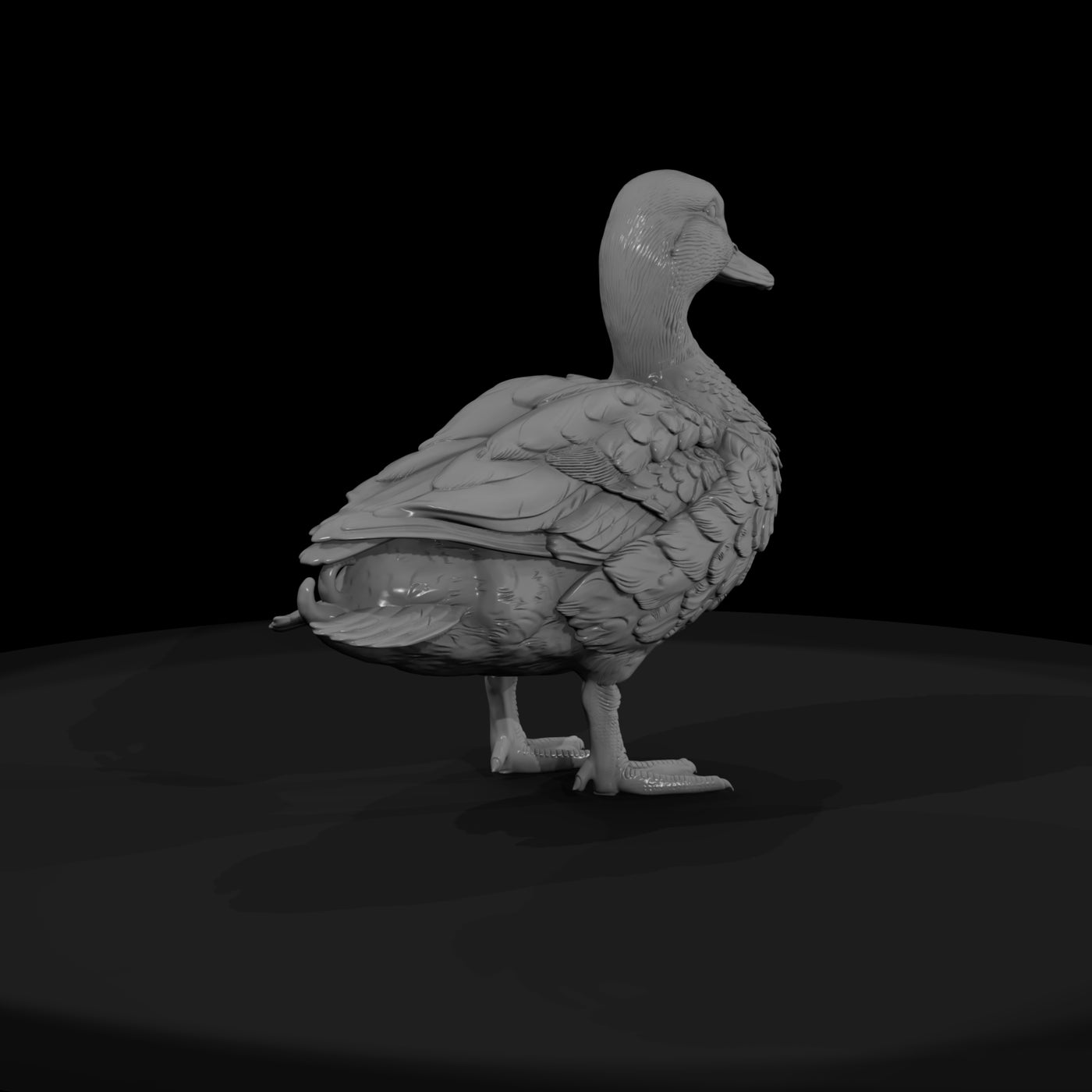 ant-088-mallard-male