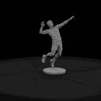 sport-27-volleyball-spiker-69e14c — thumbnail 2