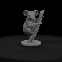ant-265-koala-male — thumbnail 2