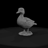 ant-092-wood-duck-female — thumbnail 2