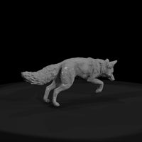 ant-016-red-fox-male — thumbnail 2