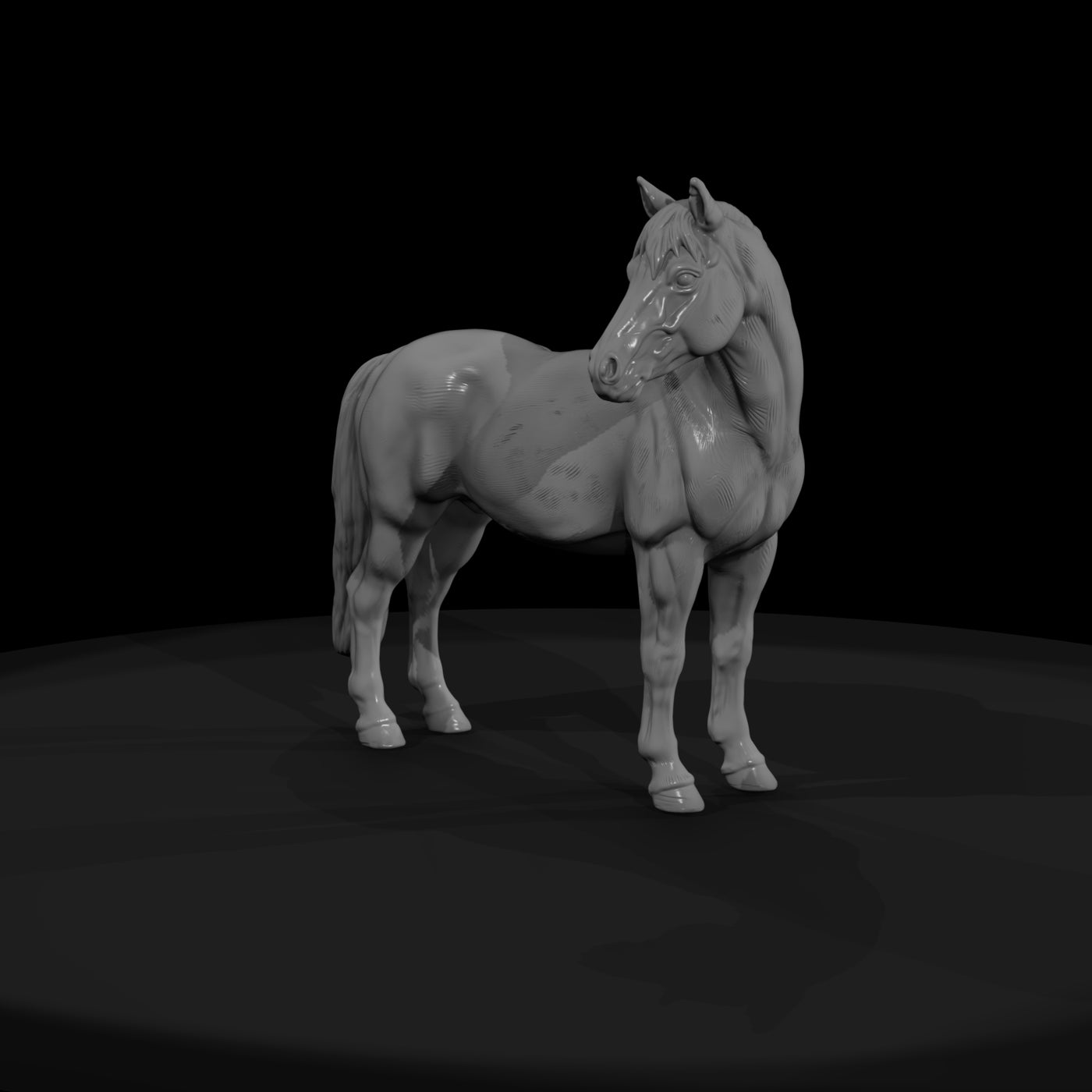 ww-0291-animal-pinto-pony
