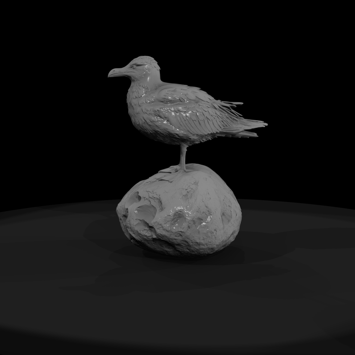 1980s Miami Beach Seagull — Perched Bird