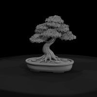 stylized-monochrome-bonsai-tree-3d-model-mzgnjqwx — thumbnail 2