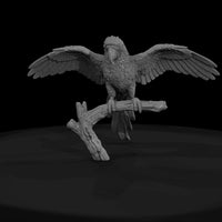ant-283-scarlet-macaw-male — thumbnail 2