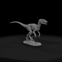 dino-19-compsognathus-023c11 — thumbnail 3