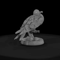 ant-136-frigatebird-male — thumbnail 2