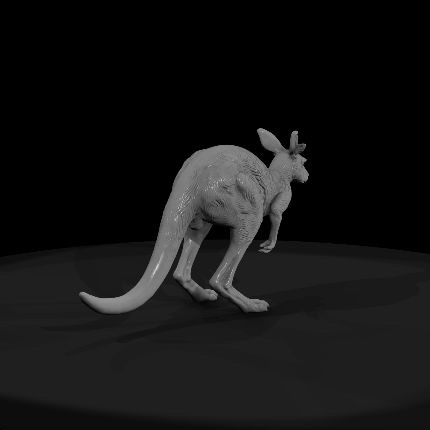 Ant 080 Red Kangaroo Female