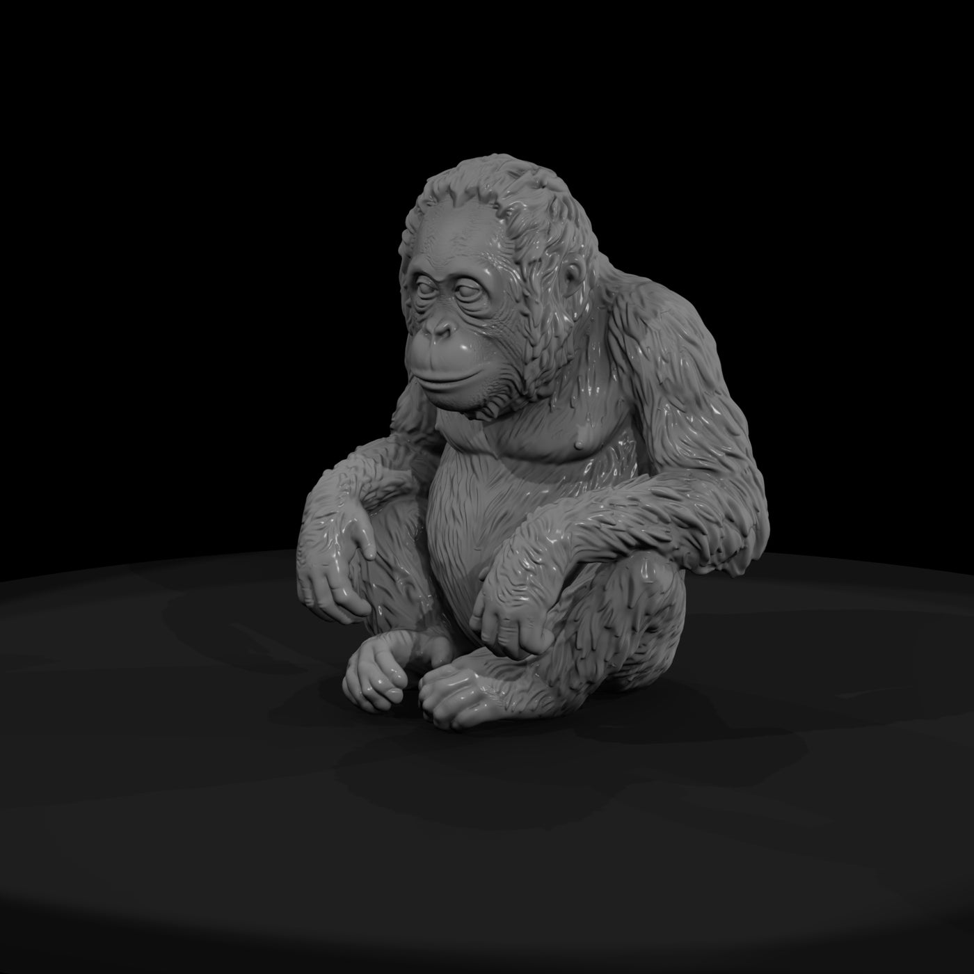 ant-111-orangutan-adolescent