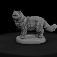 anim-15-persian-cat-01e230 — thumbnail 3