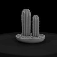 minimalist-potted-cactus-miniature-576781 — thumbnail 3