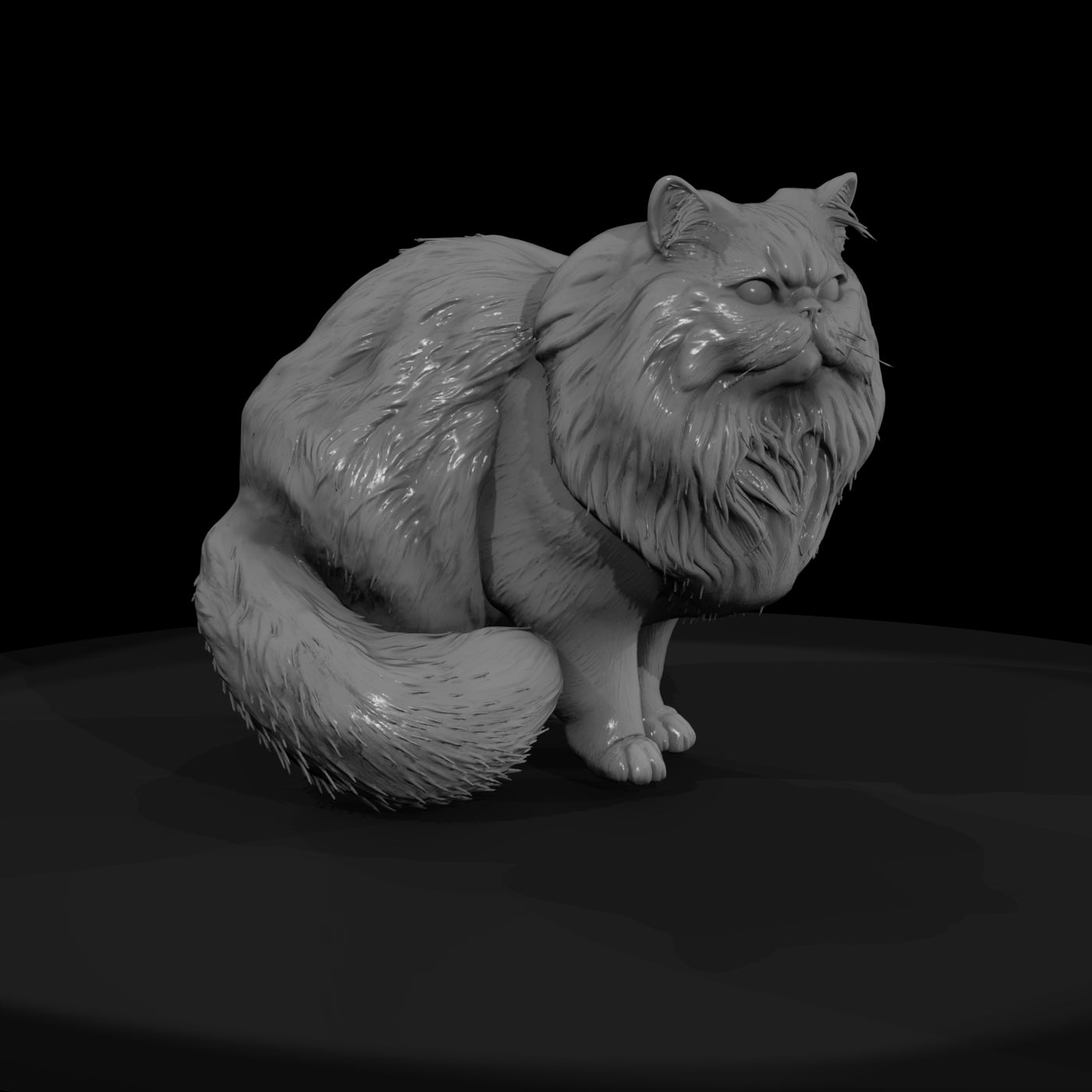 a-collection-of-housecats-persian-d66555ba-meshref