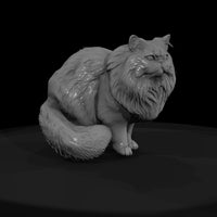 a-collection-of-housecats-persian-d66555ba-meshref — thumbnail 2