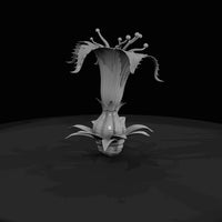 deadly-plants-dread-lily — thumbnail 2