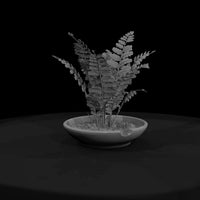 stylized-monochrome-potted-fern-3d-model-1qq57jce — thumbnail 2