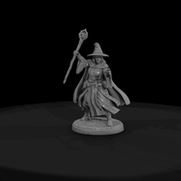 Spellcasting Wizard with Staff — thumbnail 3