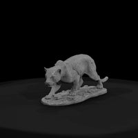 ant-152-jaguar-female — thumbnail 2