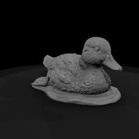 ant-090-mallard-adolescent — thumbnail 3