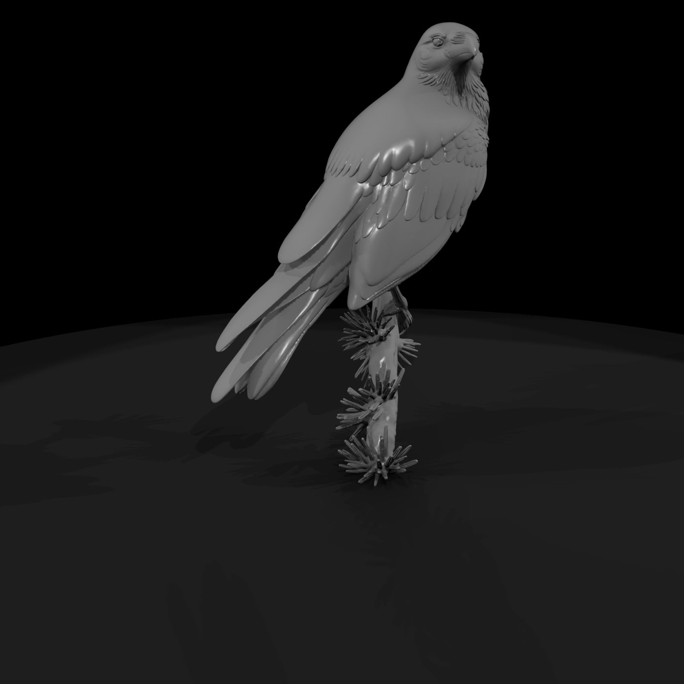 perched-raven-on-pine-branch-858575