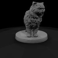 anim-15-persian-cat-01e230 — thumbnail 4