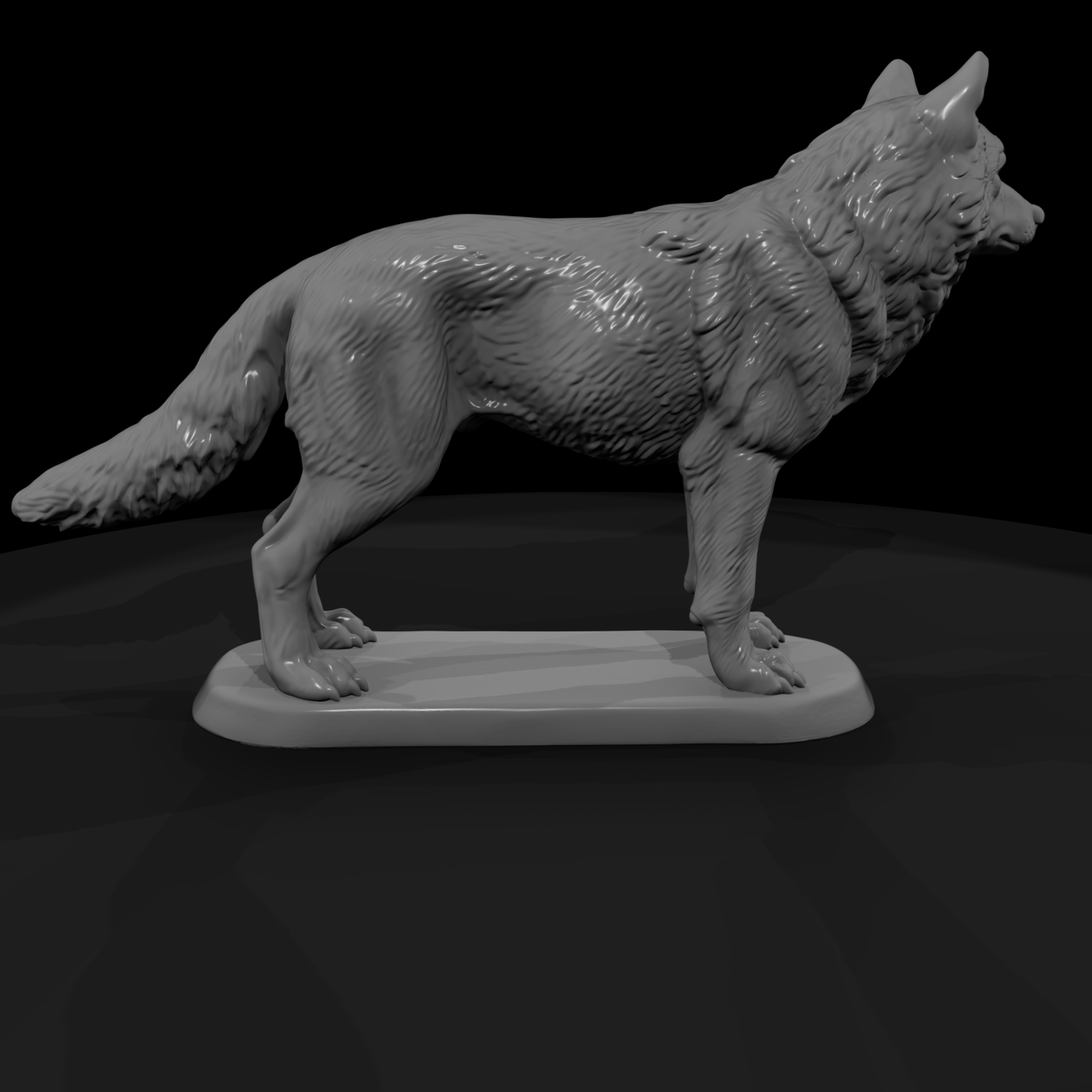 Ww 0313 Animal Gray Wolf