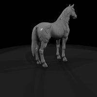 chestnut-horse — thumbnail 5